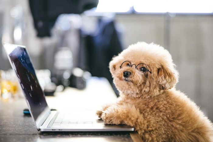 kotetsupar517032030_tp_v-jpg